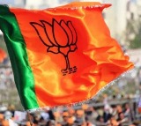 BJP Win Clear Mandate In Maharashtra says exit poll predictions