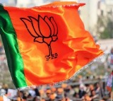 BJP Win Clear Mandate In Jharkhand says exit poll predictions