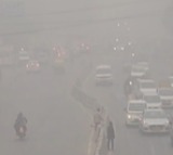 Can air pollution affect weight gain and hormonal health?