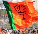 BJP alliance wins majority seats in bypoll