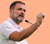 Results of Maharashtra are unexpected says Rahul Gandhi