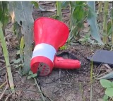 Farmer arranges mics at corn field to prevent birds