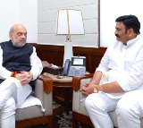 Andhra Deputy Speaker Raghurama Krishna Raju Meets Amit Shah in Delhi