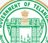 Guidelines for resolving GO317 employees issues