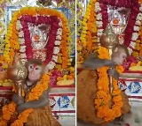 monkey with Gada in Hanuman temple viral video Here