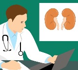 Without the use of medicines these are the ones that naturally clean the kidneys