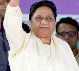 BSP Chief Mayawati Expels Senior Leader For Arranging Sons Marriage To SP MLAs Daughter