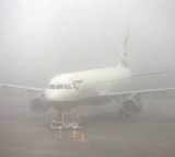 Flights in Visakhapatnam Delayed or Canceled Due to Fog Weather
