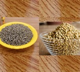 jeera water or coriander seeds water which is better for weight loss