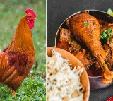 Promising Loan Bank Manager Eats Desi Chicken worth Rs 39000 from Chhattisgarh Farmer