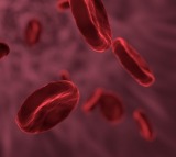 Indian scientists develop 1st human gene therapy for Haemophilia A