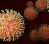 Hundreds of vials of deadly virus go missing from Queensland lab