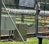 Sarfaraz Khan was seen sitting behind the nets to collect the balls and Pics gone Viral