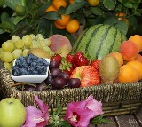 10 fruits that can burn belly fat