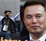 After D Gukesh World Conquering Feat Congratulations From Elon Musk