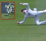 Steve Smith Stunning Catch in Brisbane Test