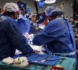 US surgeons complete fifth gene-edited pig organ transplant