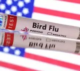 California declares state of emergency after bird flu infections