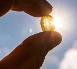 Eat 2 eggs daily to increase vitamin D intake during winter season