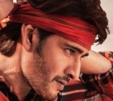 Tollywood Star Heros Movies Special