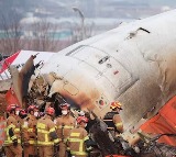 Survivor of Korean Plane Crash Regains Consciousness; What Did He Say?