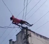 Drunk man climbs electric pole, lies down on wires in Andhra Pradesh