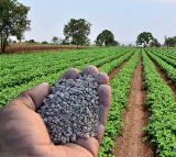 2025 Union Cabinet Holds First Meeting, Announces Key Decisions for Farmers