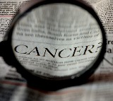 Ayurvedic herbs that cut down cancer risk