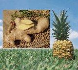 why pineapple and ginger are perfect pair for weight loss