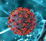 Chinese Virus HMPV Detected in Bengaluru, Eight-Month-Old Baby Infected