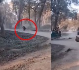 Mother And Daughter Fall In Front Of Rhinos In Kaziranga Heres What Happened Next