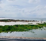 Five Hyderabad Youth Drown in Konda Pochamma Sagar Reservoir