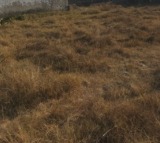 Housing Board auction land in KPHB