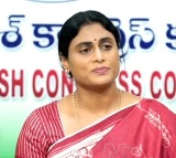 YS Sharmila Slams Vijayasai Reddy Over Family Remarks