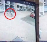 Toddler Falls from 13th Floor, Man Saves Her Life with Quick Thinking—Viral Video!