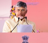 CM Chandrababu orders to enquiry on Peddireddy family alleged land encroachment