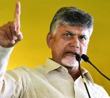 NDA Ally Chandrababu Naidu to Campaign for BJP in Delhi