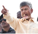 Chandrababu Naidu’s Campaign Boosts BJP’s Lead in Key Delhi Constituencies