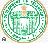 Huge rush to Meeseva in Telangana