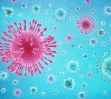 Wuhan Lab Did Not Create or Leak COVID-19: China