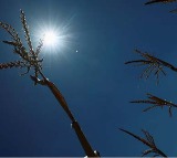 kashmir may see drought as jan feb record 80 pc precipitation deficit met