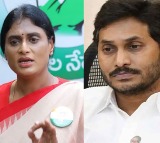YS Sharmila Fires on YS Jagan