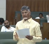‘Thalliki Vandanam’ Scheme to Launch in May, Followed by ‘Annadata’: CM Chandrababu