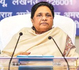 bsp chief mayawati sacks nephew akash says no party successor till my last breath