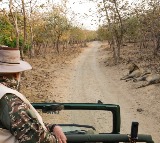 PM Modi lion safari in Gir forest
