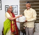 CM Chandrababu Meets Amit Shah and Nirmala Sitharaman in Delhi