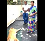 Minister Konda Surekha Mourns the Death of Her Pet Dog – Emotional Video Surfaces