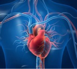 Breakthrough research offers hope for treatment of ischemic heart failure
