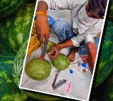 Artificial Coloring in Watermelons: Experts Warn of Cancer Risk