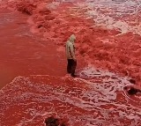 Iran Beach Turns Bright Red After Mysterious Blood Rain